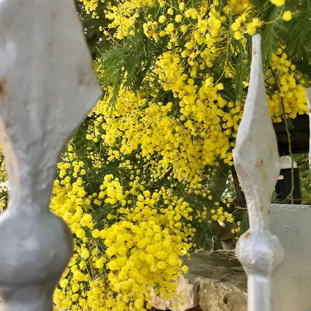 Pansiyon Maison Santarosa