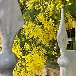 Alloggio in famiglia Maison Santarosa